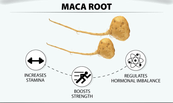 4-maca-root