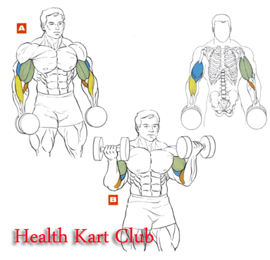 3-Standing Dumbell Curl
