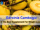 Garcinia Cambogia