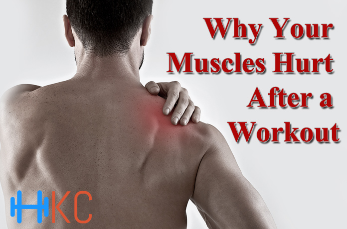 Why Do My Muscles Hurt After Workout