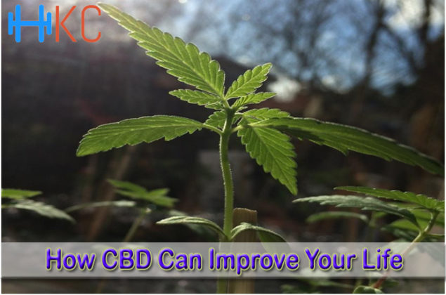 How Cbd Can Improve Your Life Health Kart Club 8277