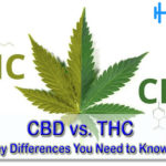 CBD vs. THC