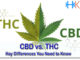 CBD vs. THC