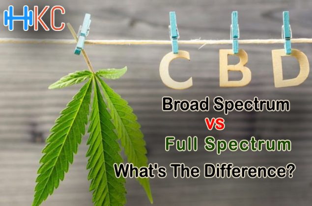 CBD Broad Spectrum Vs Full Spectrum: What's The Difference?