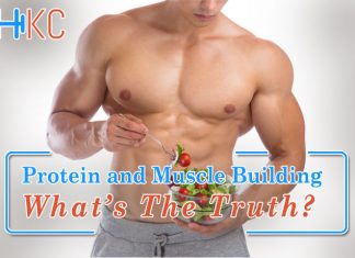 Protein and Muscle Building